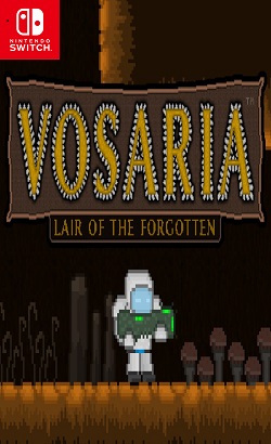 Vosaria-Lair-of-the-Forgotten-NSP-Switch.jpg