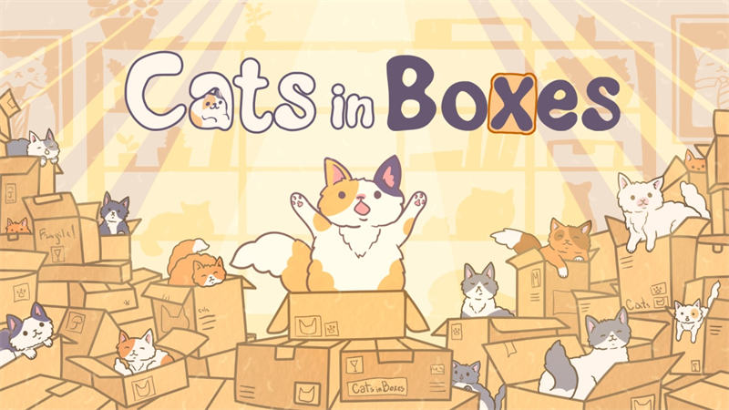 Cats in Boxes 1.jpg